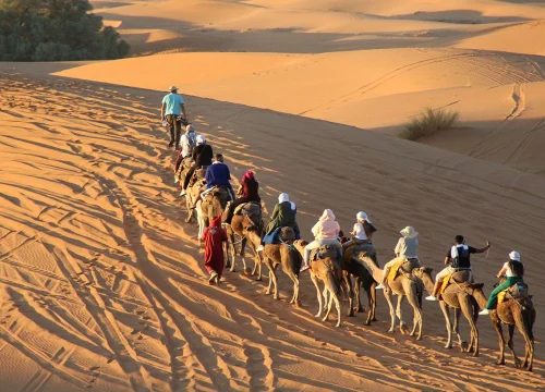 Camel Riding in the Sahara Desert