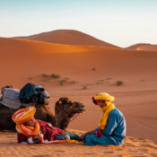 Merzouga dunes, camels, resting Berber guides.