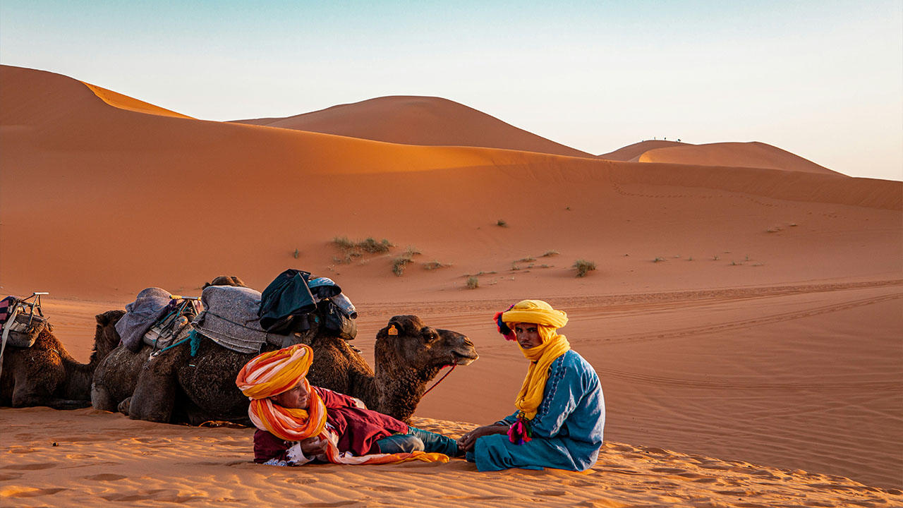 Merzouga dunes, camels, resting Berber guides.